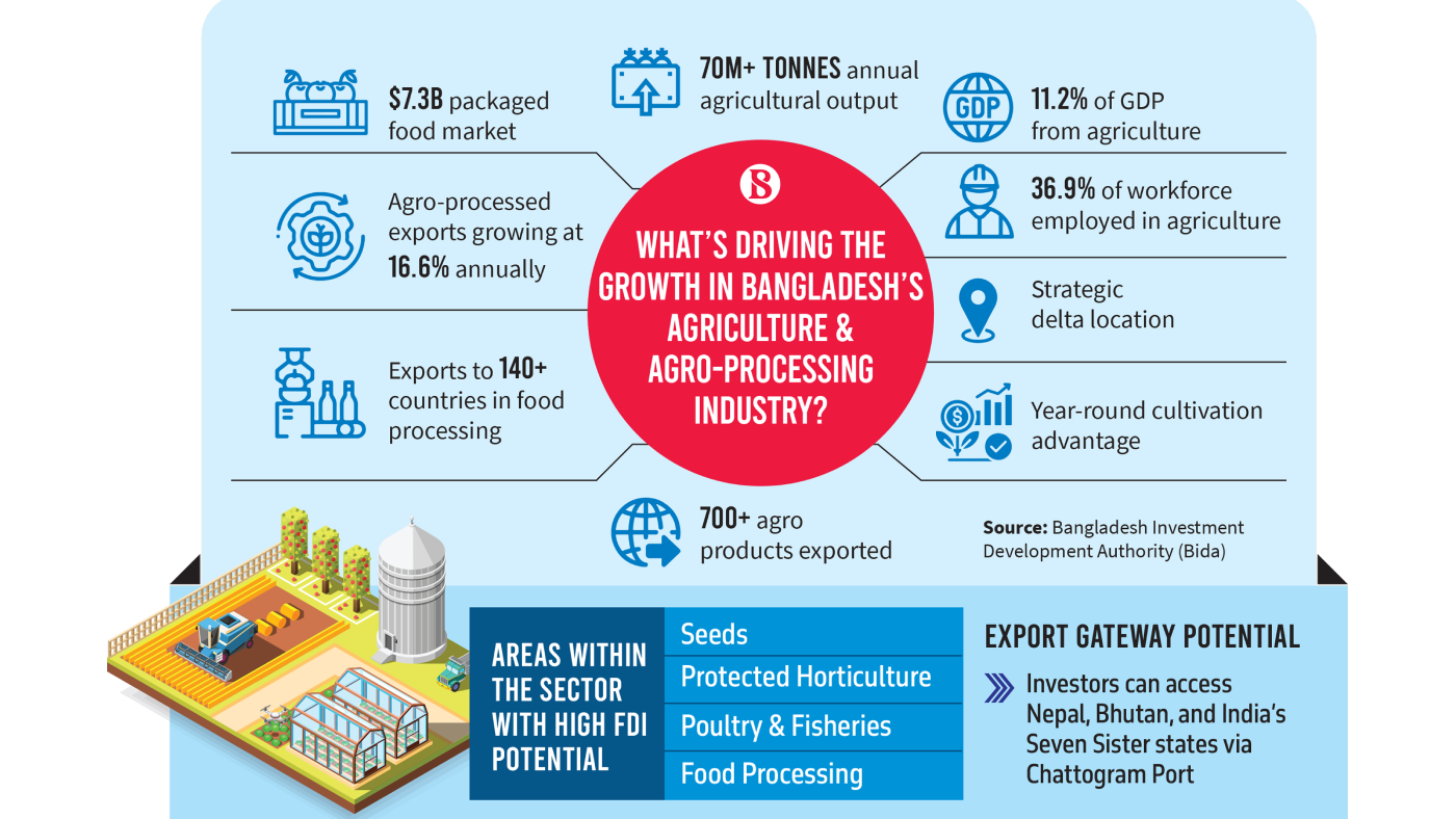 Bangladesh eyes foreign investment to unlock agro-processing potential